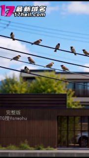 ｜AI短剧｜短视频｜成人短剧｜国漫精选｜ 配图