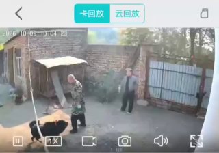 吃瓜驿站😋🍉 配图