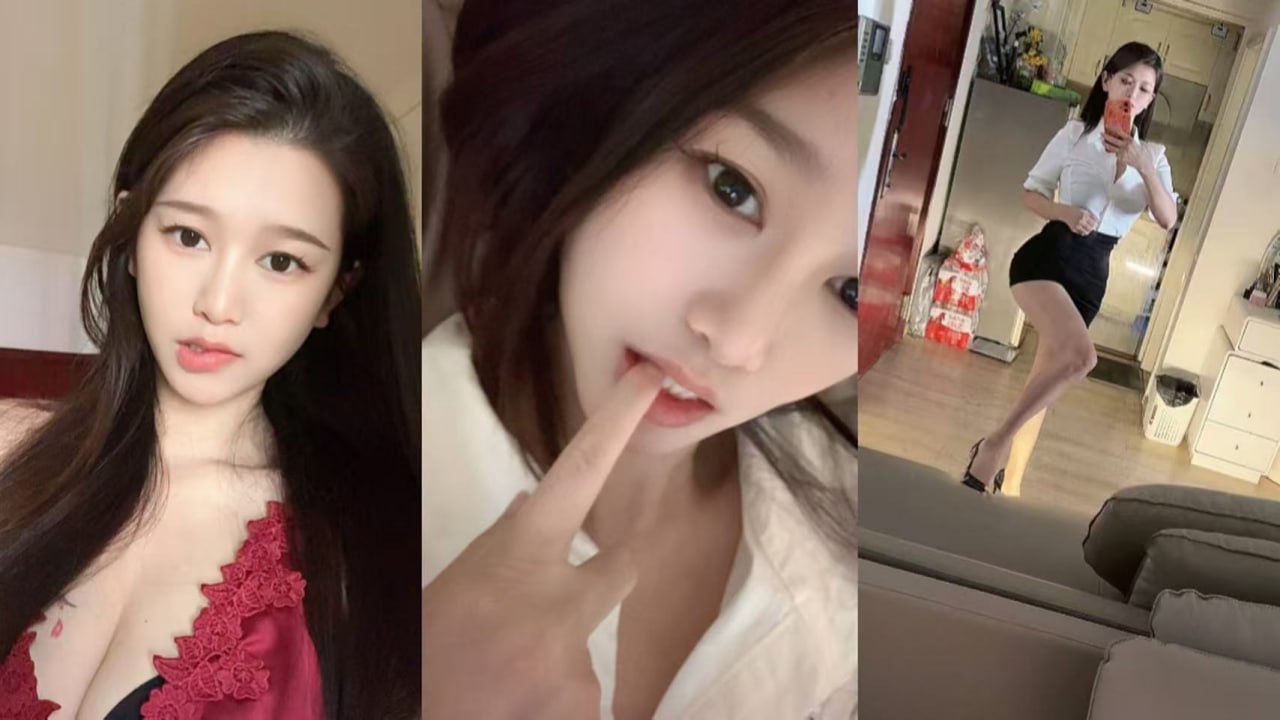 深圳花荟群 配图