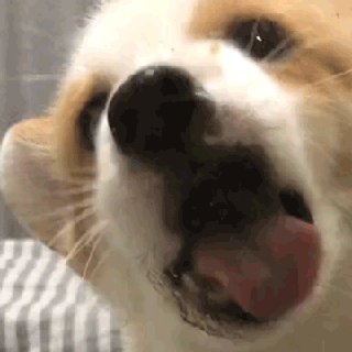正规群 _(:3 」∠)_ 配图