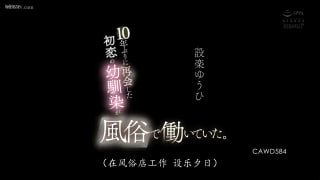 💖中文字幕日本AV合集💖 配图