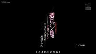 💖中文字幕日本AV合集💖 配图