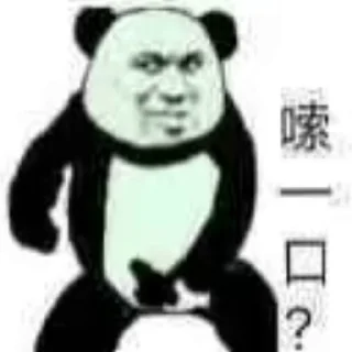 Kitty Network 配图