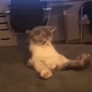 正规群 _(:3 」∠)_ 配图