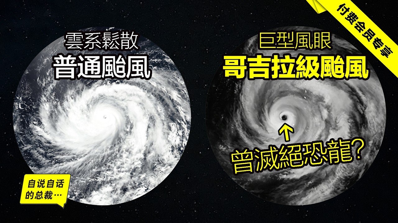 4K动漫全系列|追漫 配图