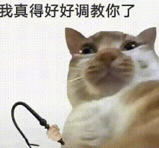 Isvoro交流群「有问题工单」 配图