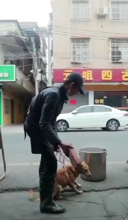 今天你想跑路了吗？？ 配图