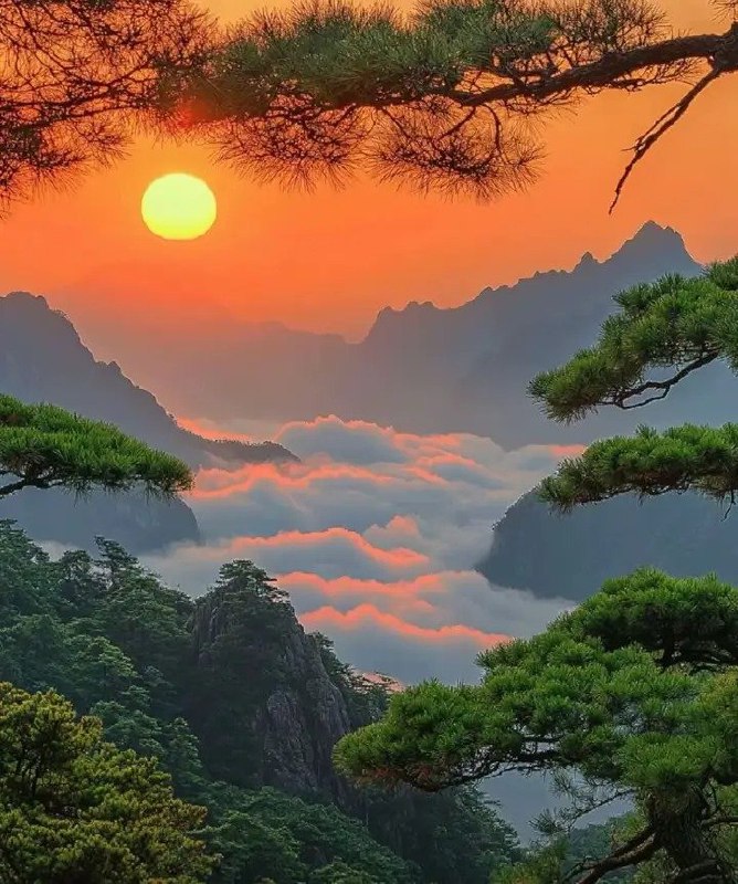 fine 配图