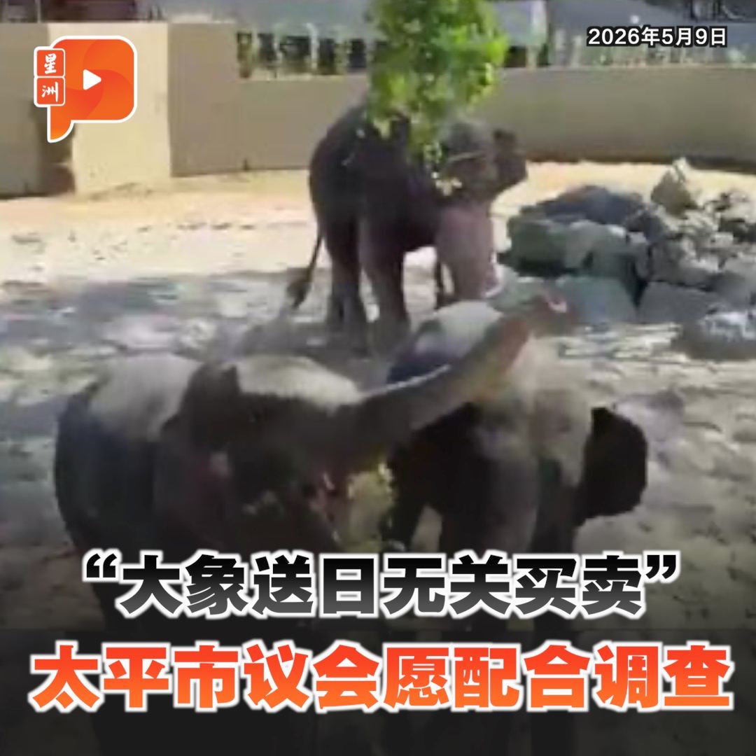 百格Pocketimes 配图