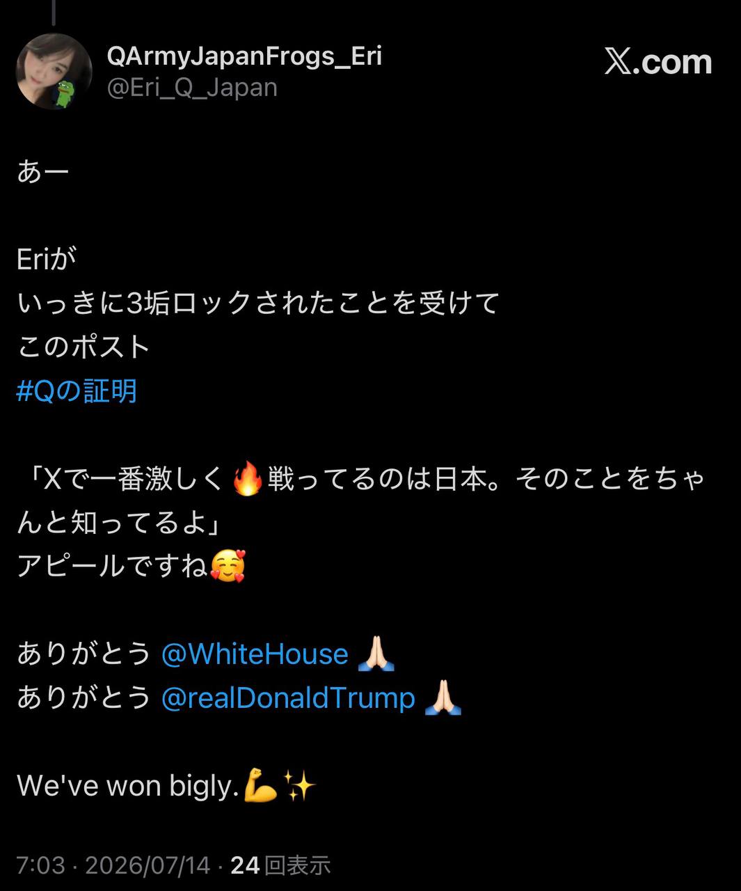 EriQmapJapan️️️️️️ 配图