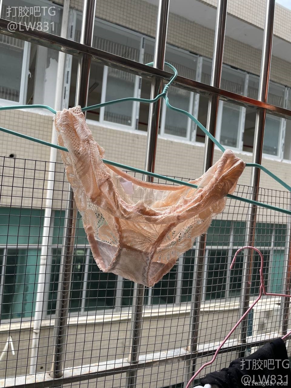 打胶 扫楼 恋物 加料 保养 配图