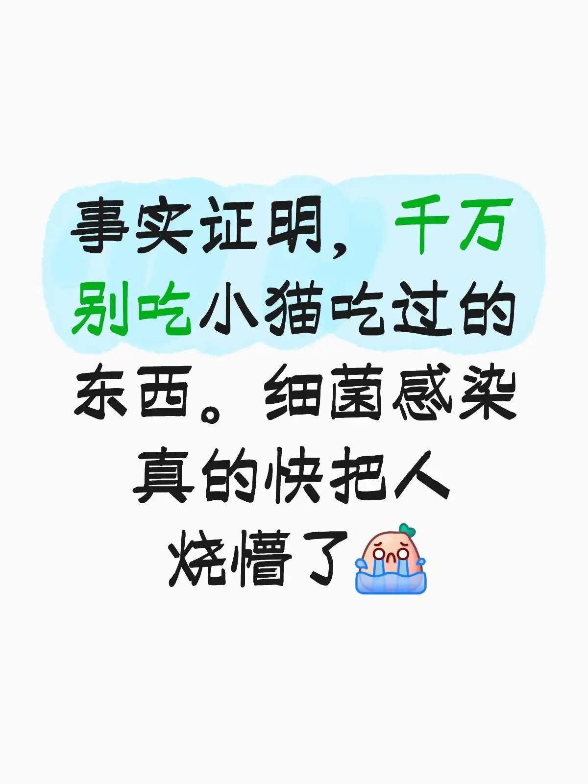 简中互联网废物们 配图