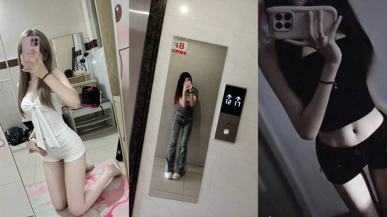 深圳花荟群 配图