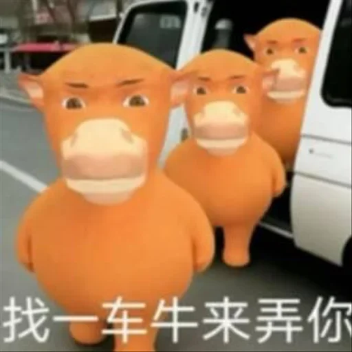 不正经机场推荐✈️~😅 配图